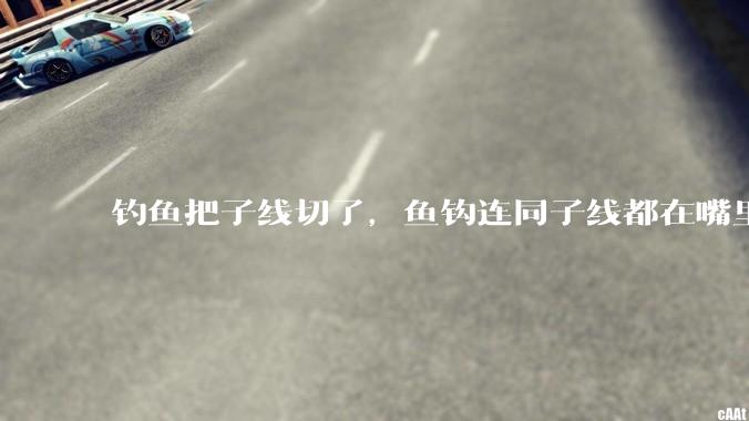 钓鱼把子线切了，鱼钩连同子线都在嘴里，鱼会死吗？