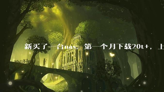 新买了一台nas，第一个月下载20t+，上传5+，不会被网警盯上吧?