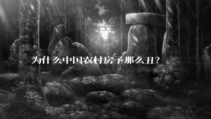 为什么中国农村房子那么丑？