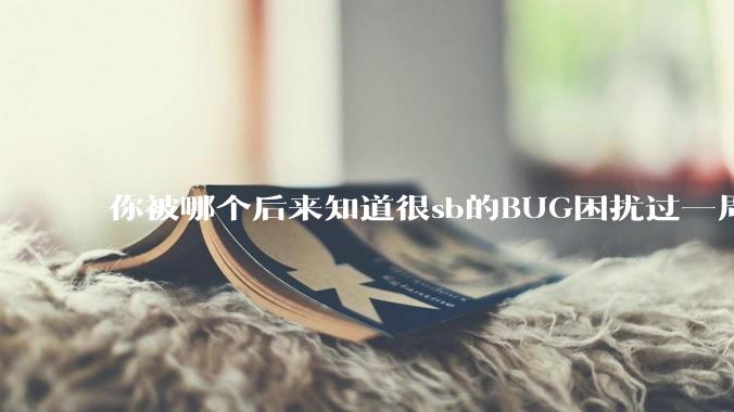 你被哪个后来知道很sb的BUG困扰过一周以上吗？